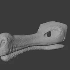 Sarcosuchus dinosaur fursuit base