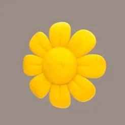 Smiley Sunflower