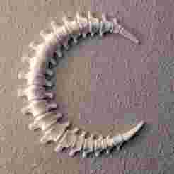 Spinal Moon Wall Decoration - Halloween Decor