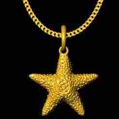 Star fish charm