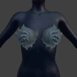 Stormwave Bra Cups