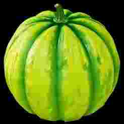 Stylized Green Pumpkin