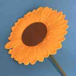 Sunflower no AMS