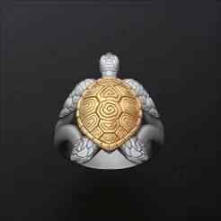 Turtle Ring v2 3D print model