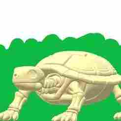 Turtle Skeleton STL – Detailed Reptile Bones 3D Model | Fossil Replica & Anatomy Study