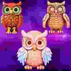 Whimsical Owl Collection
