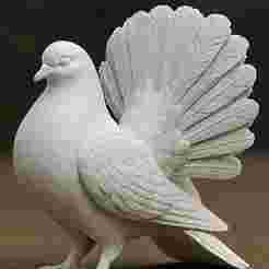 White Peacock Pigeon – Ornamental Fantail STL Model for 3D Printing