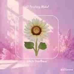 White Sunflower