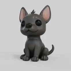 Xoloitzcuintle puppy 🐕