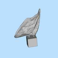 Oversized shell art ornaments and miniature scene digital models