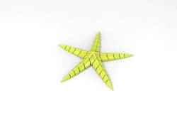 Starfish