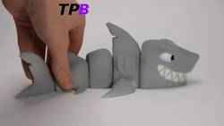 Bro Megalodon Köpekbalığı - Yerinde Baskı