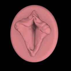 3D Realistic Pussy Art (13) Wall Art - No Supports
