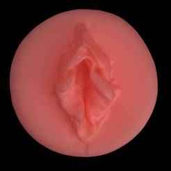 3D Realistic Pussy Art (16) Wall Art - No Supports