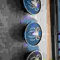 Can Am Ryker wheel hub caps Spider design