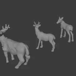 Christmas reindeer