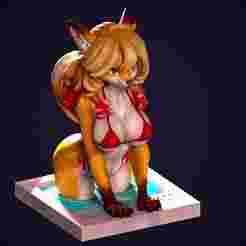 Furry fox(NSFW Optional)