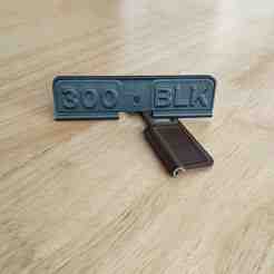 M4 EJECTION PORT COVER with CUSTOM LETTERS