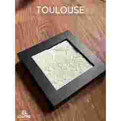 Toulouse 3D City