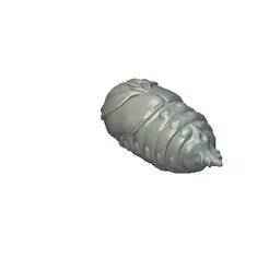 035 bait for predator fishing