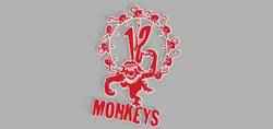 12 Twelve Monkeys Movie Logo Wall Picture