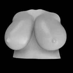 3D Giant Natural Boobs Wall Art (No Supports)