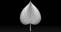 Banyan Tree Leaves 3D printed model