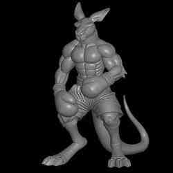 interseting decor boxer kangaroo