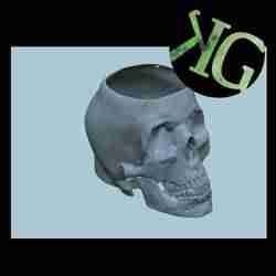 KG Customs & Creations Hanging Skull Planter / Skull Pot / Built in drip tray