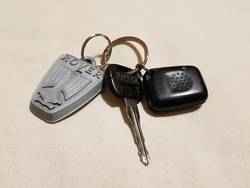 Llavero Rover Rover keyring