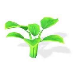 Orchid FLOWER SUNFLOWER PLANT GARDEN FURNITURE FOREST NATURE FRUIT APPLE LEAVES MAGIC MEDIEVAL PEAR TOMATO PREHISTORY FANTASY VEGETABLE 6