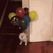 Suporte Alexa Echo Spot 2024 Balloon Dog 2 Modelos
