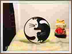 Tai Chi Kedisi (tutuculu) 太極貓
