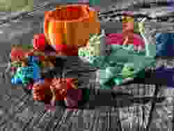 Pumpkin Dragons and big hallow pumpkin