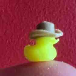 Tiny Duck Wearing a Cowboy Hat