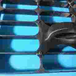 Baking tray cake cutter / slicer / portion divider ; 7cm x 2,5 cm ; 5 * 8 array