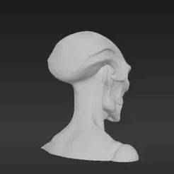 Eerie Sentinel Head for 6-inch Figures - Domed Skull Alien Being 3D Printable Model