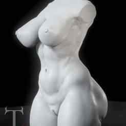 Female Torso Sculpt