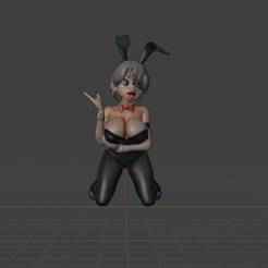 Hentai figure of a bunny doll