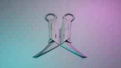 VALORANT PRIME CARAMBIT