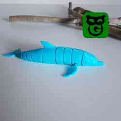 Dolphin Flexi