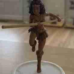 Diana the Acrobat - Hero from Dungeons and Dragons (3D Printed Model)
