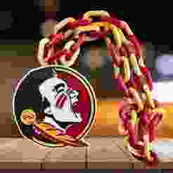 Florida State Seminoles NCAAF Network