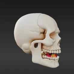 Gothic Skull Candy Container – Creepy Halloween Candy Dropper