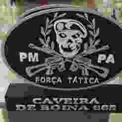 Plaque (trophy) Tactical Force Brevet