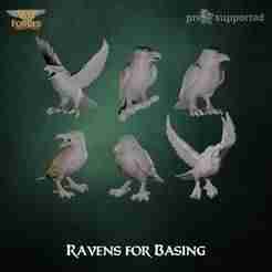 Ravens - Basing Bits