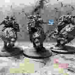 Star Vikings Wolf Tamers