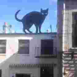 Black Cats - With simple image-to-3D-design tutorial