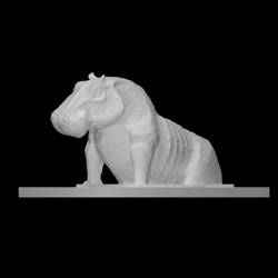 Hippopotamus