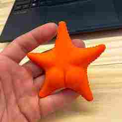Conicet starfish "Culona".